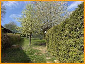 Garten mit Obstbäumen - 