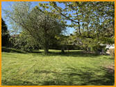 Blick in den Garten - 