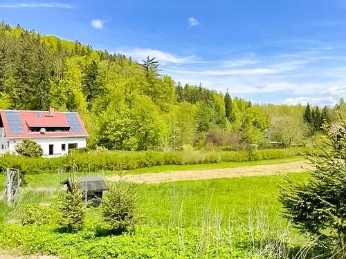 Objektansicht - Einfamilienhaus zum Kaufen in Altenberg