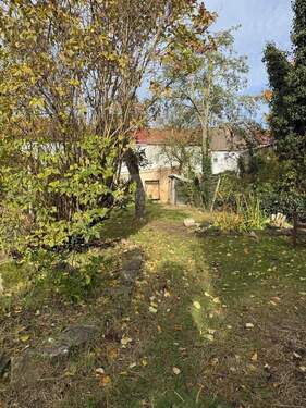 Bild 3 - 4 Zimmer Etagenwohnung in Apolda