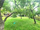 Obstbäume - 