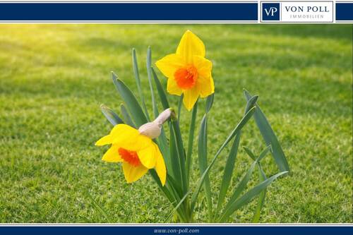 Titelbild - Bauträgerfreies Grundstück für ein Einfamilienhaus in Top Lage von Karow