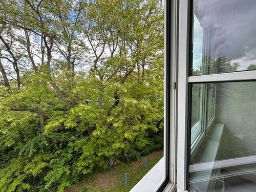 Ausblick ins Grüne - 3 Zimmer Etagenwohnung zur Miete in Leipzig