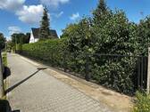 IMG_5170 - 