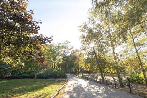 Volkspark Wilmersdorf in der Nachbarschaft - 