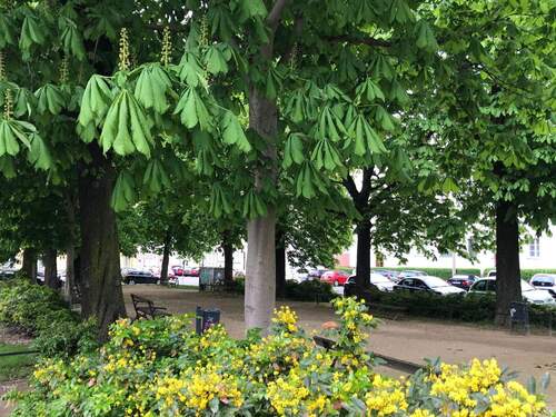 Park vorm Haus - Etagenwohnung mit 77,80 m&sup2; in Leipzig zum Kaufen