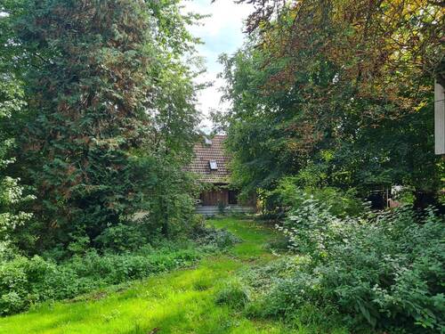 Naturparadies Haus Gartenseite - Naturparadies mit liebevoll restauriertem Haus