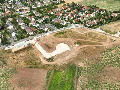 DJI_0778-14-07-2025.JPG - 