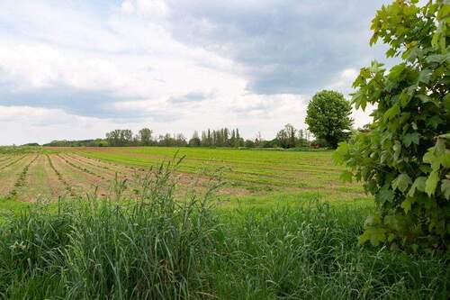 15_volkacher-str_Nbg_foto-anna-seibel.jpg - 