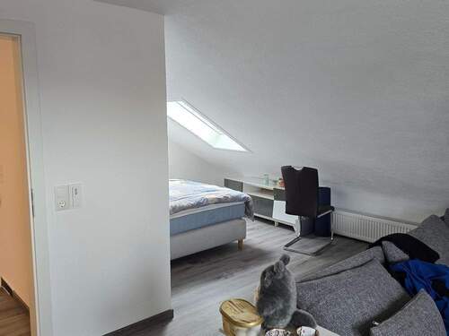 20250417_151659.jpg - 