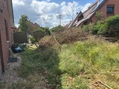 Bild 14 - 
