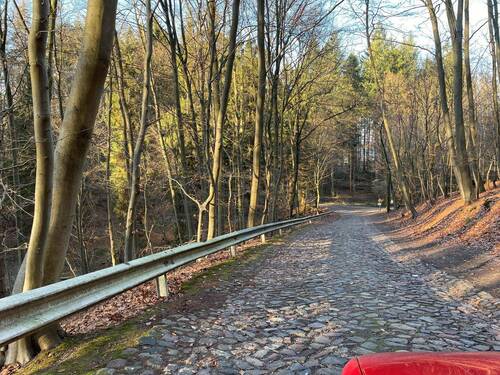 Zuwegung durch den Wald - 