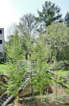 20220503_113811 - Etagenwohnung mit 95,00 m&sup2; in Görlitz zur Miete