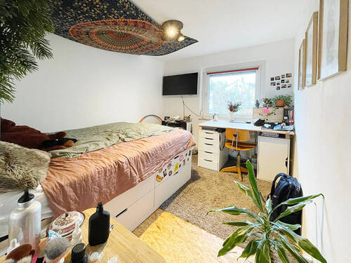 Zimmer2 - 