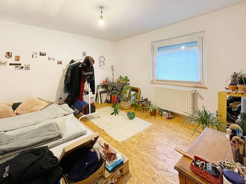 Zimmer3 - 