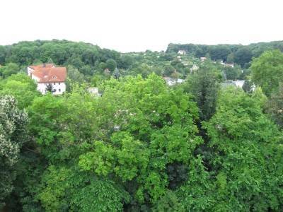 Grünblick - 2 Zimmer Etagenwohnung zur Miete in Gera