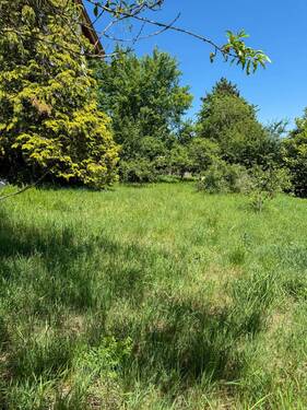 Garten - 