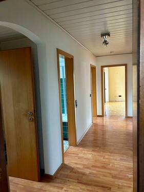 IMG_0517 (002).jpeg - 