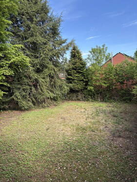 Bild 11 - 