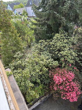 Bild 12 - 