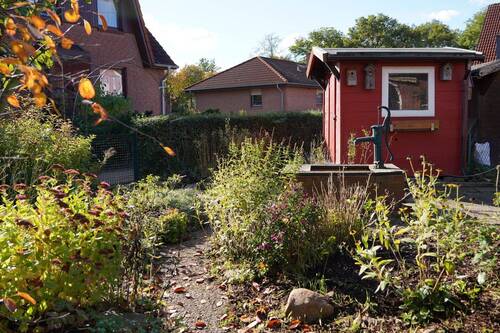 Außenbereich mit Gartenhaus - 