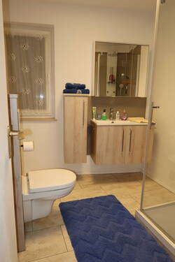 Bad mit Dusche EG - Einfamilienhaus mit 138,70 m&sup2; in Oberndorf am Neckar zum Kaufen