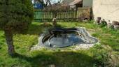der kleine Teich ist schon da - 