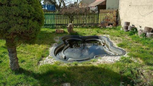 der kleine Teich ist schon da - 
