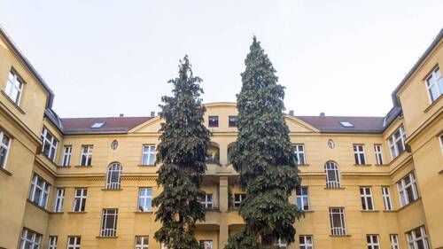Gebaeude-29.jpg - HOMESK - Vermietete 2-Zimmer-Terrassenwohnung im Altbau in Pankow