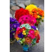 Hier können zwei Familie toll leben - Hildesheim Himmelsthür