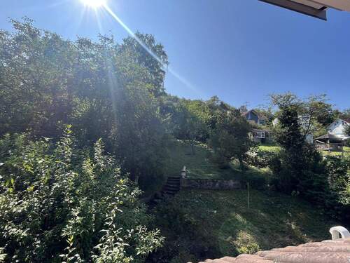 großer Garten mit alten Bäumen - 