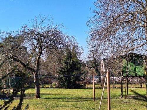 schöner Baumbestand... - Grundstück in Brandis