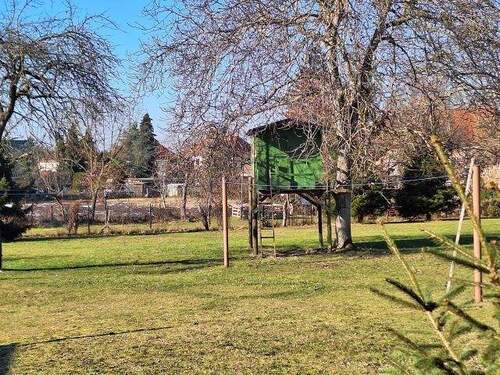 Grün, soweit das Auge reicht - 