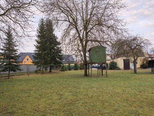 im Zentrum und doch so grün - 