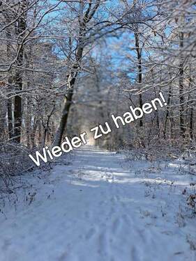 Bild 1 - Viel Platz. Viel Natur. Viel Zukunft.