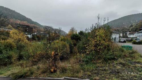 IMG 20251022 152855 - Grundstück zum Kaufen in Bad Wildbad