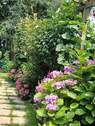 Garten (6) - 