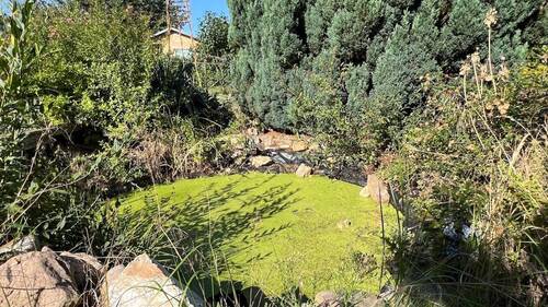 Garten mit kl. Teich - Einfamilienhaus mit 120,00 m&sup2; in Weißenfels zum Kaufen