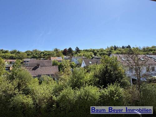 Ausblick - 