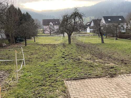 Garten hinterm Haus - 