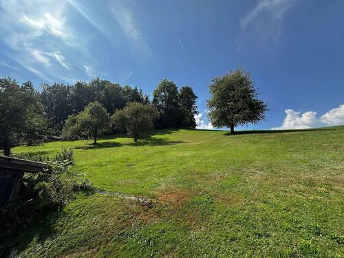 Garten hinterm Haus - 6 Zimmer Einfamilienhaus zum Kaufen in Schönberg