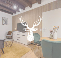 Exklusives 1,5-Zimmer Apartment vollständig möbliert monatlich anmietbar - Waldshut-Tiengen