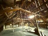 Schopf - 