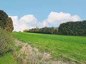 Bild 9 - 