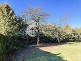 369.Garten1.1 - 