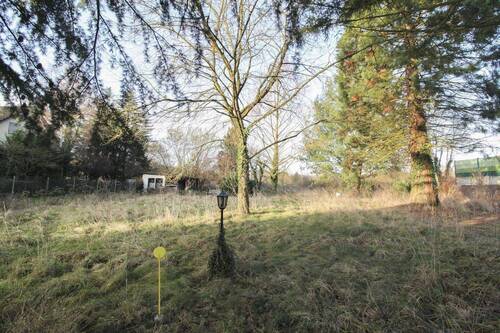 Parkähnlicher Garten - 