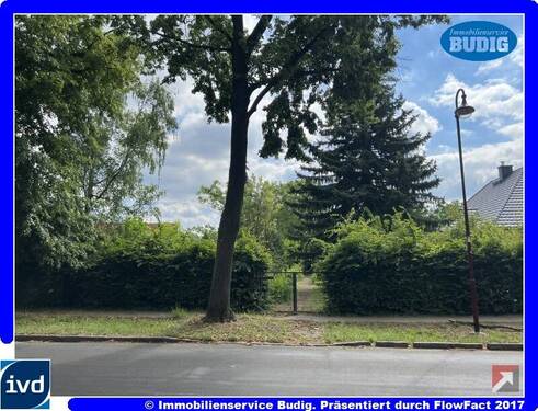 Zufahrt zum Grundstück - Großes Baugrundstück mit übergangsweise nutzbarem Kleinhaus