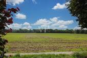 Aussicht/Umgebung - 