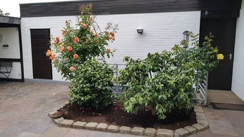 Garten - 