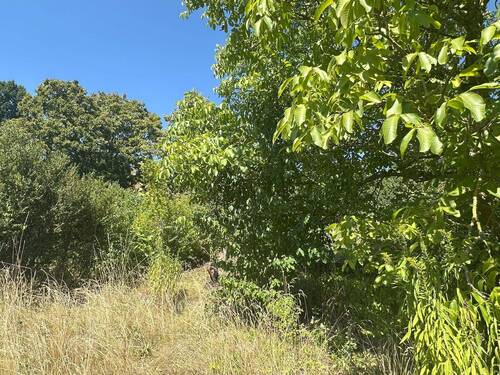 Natur, Ruhe, hier tanken Sie auf_ - 6 Zimmer Doppelhaushälfte in Coburg